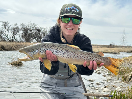 Full Day Guided Walk Wade Trip